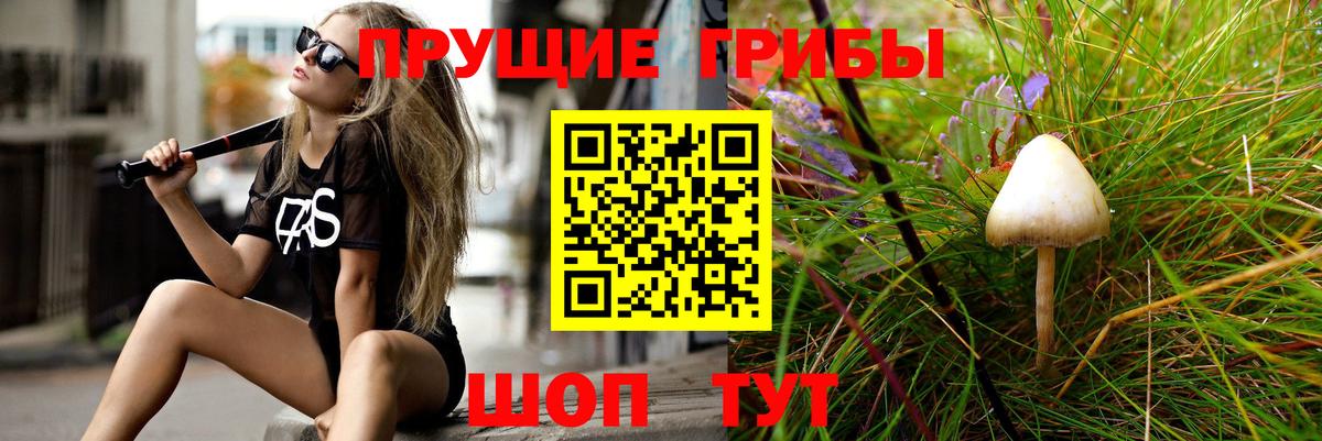Озёрск  Псилоцибиновые грибы мицелий  Вход с VPN 